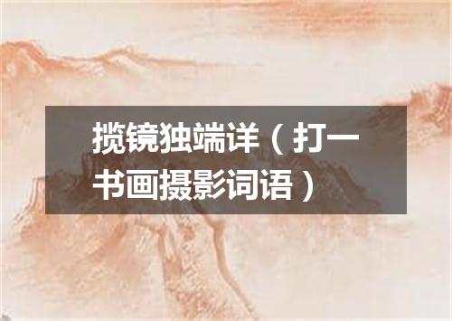 揽镜独端详（打一书画摄影词语）