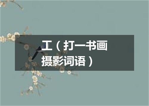 工（打一书画摄影词语）