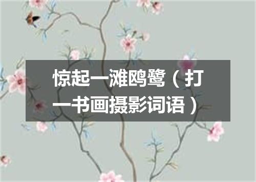 惊起一滩鸥鹭（打一书画摄影词语）
