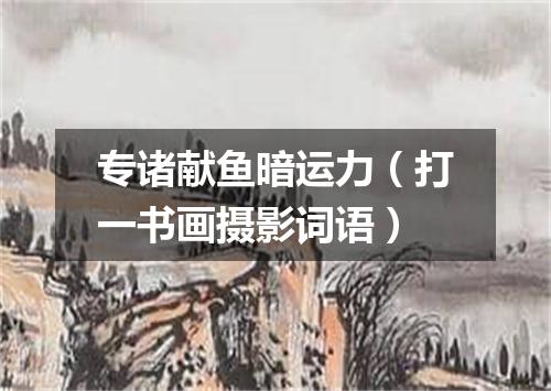 专诸献鱼暗运力（打一书画摄影词语）