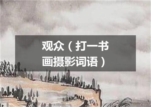 观众（打一书画摄影词语）