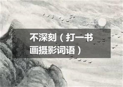 不深刻（打一书画摄影词语）