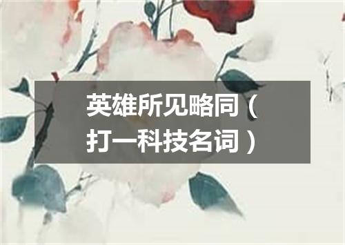 英雄所见略同（打一科技名词）