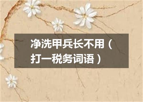 净洗甲兵长不用（打一税务词语）