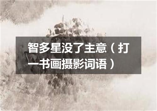 智多星没了主意（打一书画摄影词语）