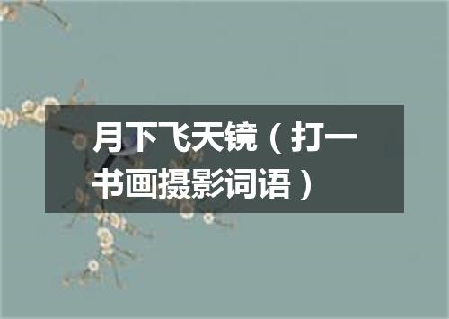 月下飞天镜（打一书画摄影词语）