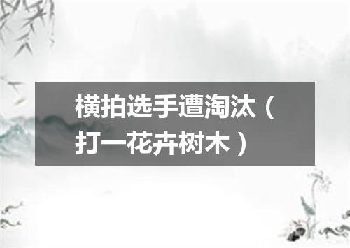 横拍选手遭淘汰（打一花卉树木）