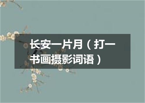 长安一片月（打一书画摄影词语）