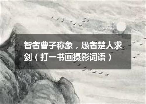 智者曹子称象，愚者楚人求剑（打一书画摄影词语）