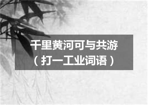 千里黄河可与共游（打一工业词语）