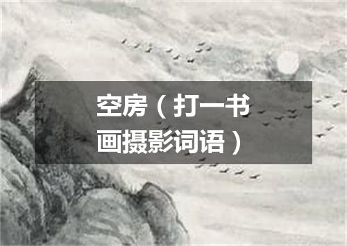 空房（打一书画摄影词语）