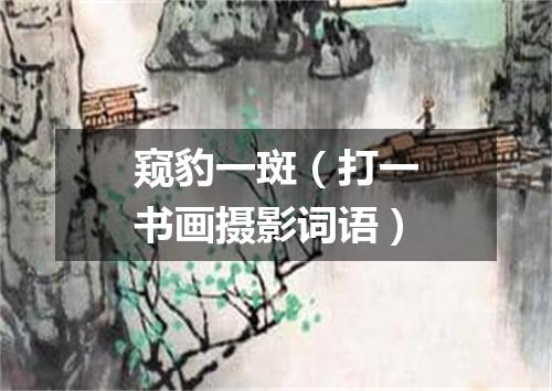 窥豹一斑（打一书画摄影词语）