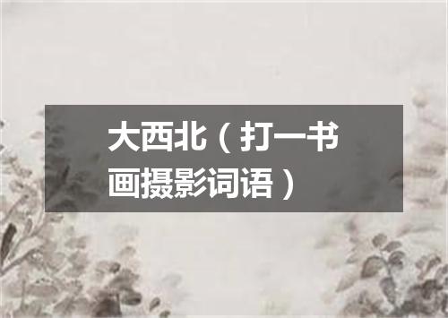 大西北（打一书画摄影词语）
