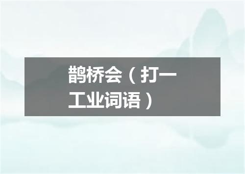 鹊桥会（打一工业词语）