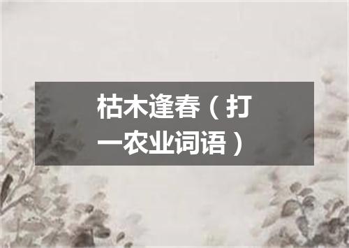 枯木逢春（打一农业词语）