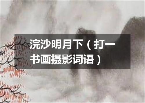 浣沙明月下（打一书画摄影词语）
