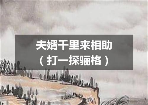 夫婿千里来相助（打一探骊格）