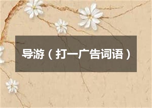 导游（打一广告词语）
