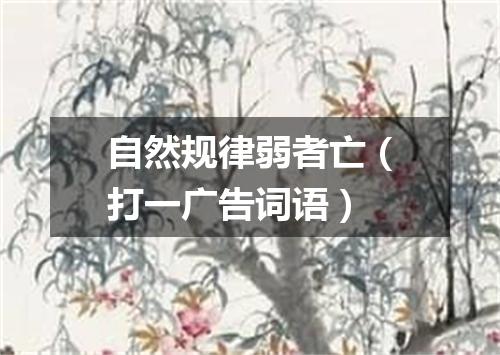 自然规律弱者亡（打一广告词语）