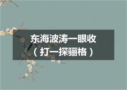 东海波涛一眼收（打一探骊格）