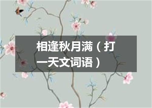 相逢秋月满（打一天文词语）