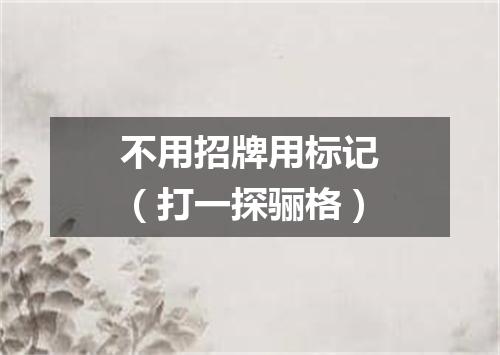 不用招牌用标记（打一探骊格）