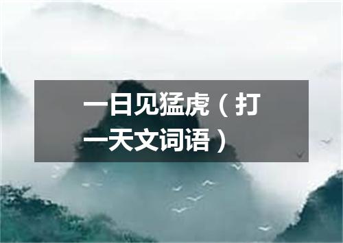 一日见猛虎（打一天文词语）