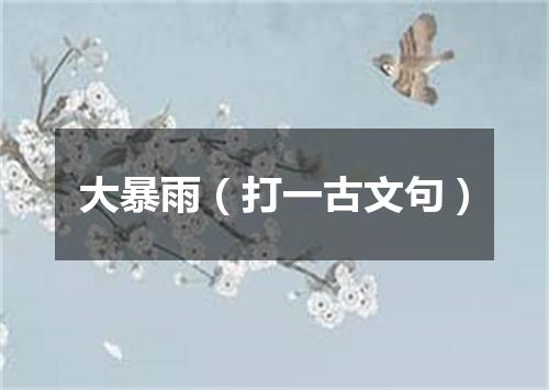 大暴雨（打一古文句）