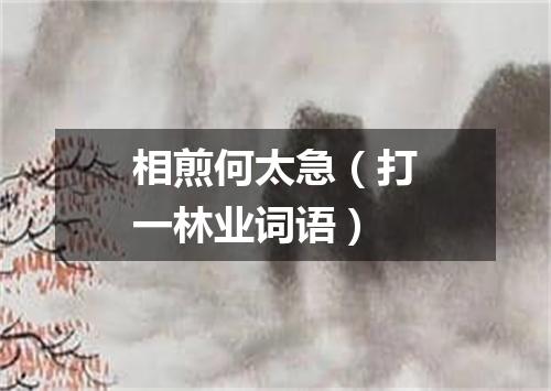 相煎何太急（打一林业词语）