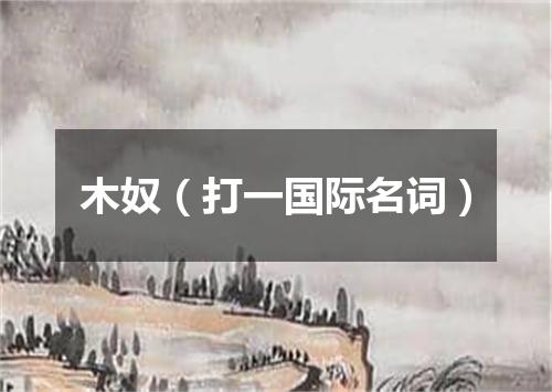 木奴（打一国际名词）