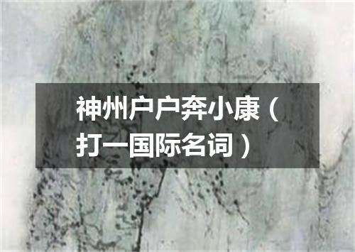 神州户户奔小康（打一国际名词）