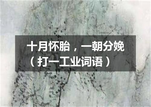 十月怀胎，一朝分娩（打一工业词语）