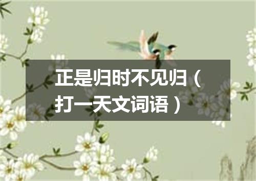 正是归时不见归（打一天文词语）