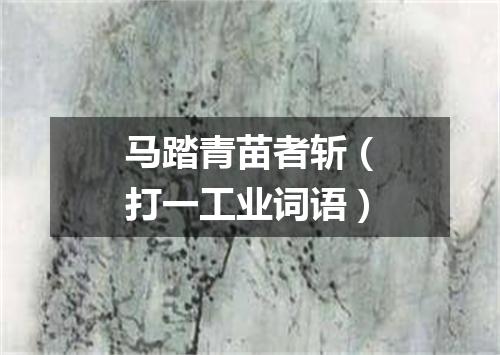 马踏青苗者斩（打一工业词语）