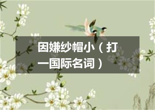 因嫌纱帽小（打一国际名词）