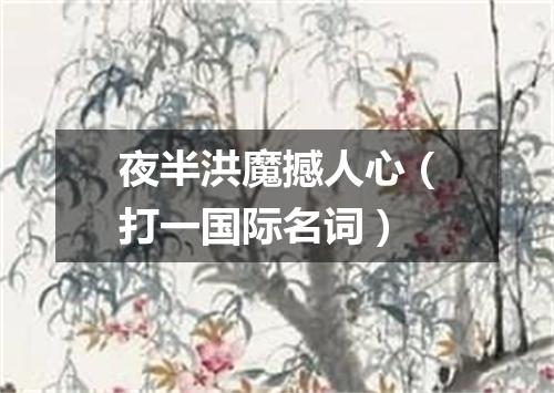 夜半洪魔撼人心（打一国际名词）