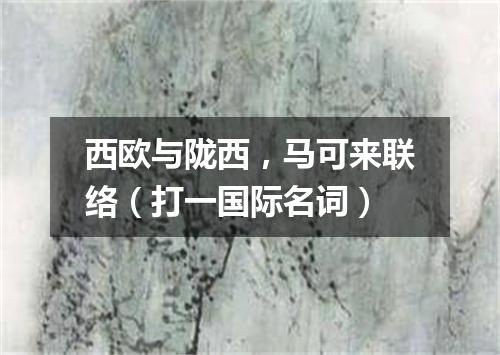 西欧与陇西，马可来联络（打一国际名词）
