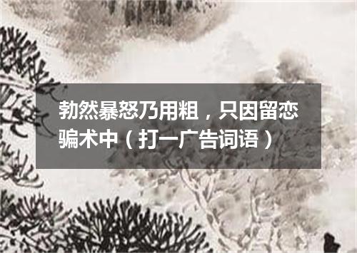 勃然暴怒乃用粗，只因留恋骗术中（打一广告词语）