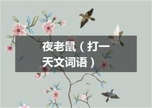 夜老鼠（打一天文词语）
